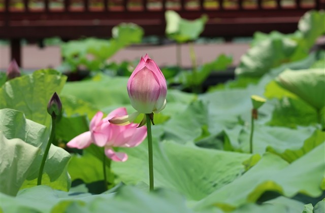 女生版最新的扣扣空间个性网名精选(449个)