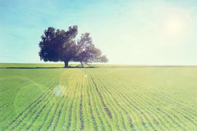 ​激励孩子冲刺高考的话经典励志语录