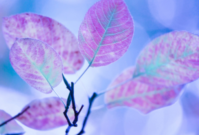 ​中秋节祝福语文案 中秋祝福文案(精选100句)